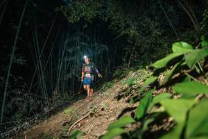 BIB: 
                            <button type="button" onclick="openModal(28158883)" class="btn btn-primary btn-sm float-right btn-popup" data-toggle="modal" data-target=".modal-high-quality">
                        <i class="fas fa-shopping-cart"></i> Add to Cart
                    </button>
                                            <button type="button" onclick="isThisMe(28158883, true)" class="btn btn-success btn-sm float-right btn-popup btn-isme hidden" data-toggle="tooltip" data-placement="bottom" title="นี่คือรูปของคุณใช่ไหม คลิกที่นี่เพื่อเอาเข้าอัลบั้ม">
                        <i class="fas fa-plus"></i> Add to album
                    </button>
                    <button type="button" onclick="isThisMe(28158883, false)" class="btn btn-warning btn-sm float-right btn-popup btn-isnotme hidden">
                        <i class="fas fa-ban"></i> Remove from album
                    </button>